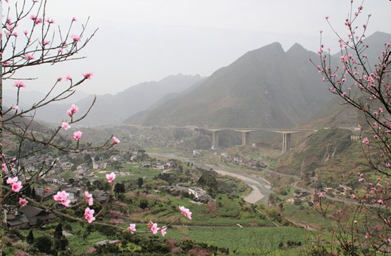 贵州省桐梓县松砍镇邮编是-贵州省遵义市桐梓