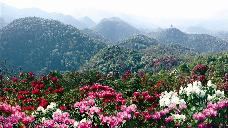 前锋区gdp多少_前锋区图片(3)