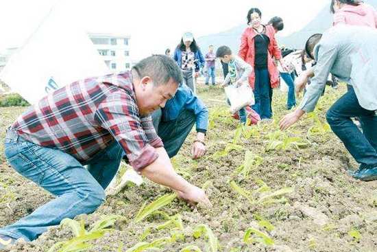 簸以村人口_以家人之名