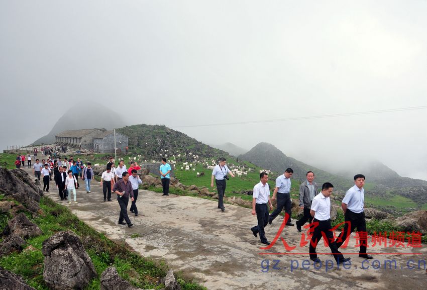 嘉宾们在马场乡贝佳山草场参观(陈亚林摄影)