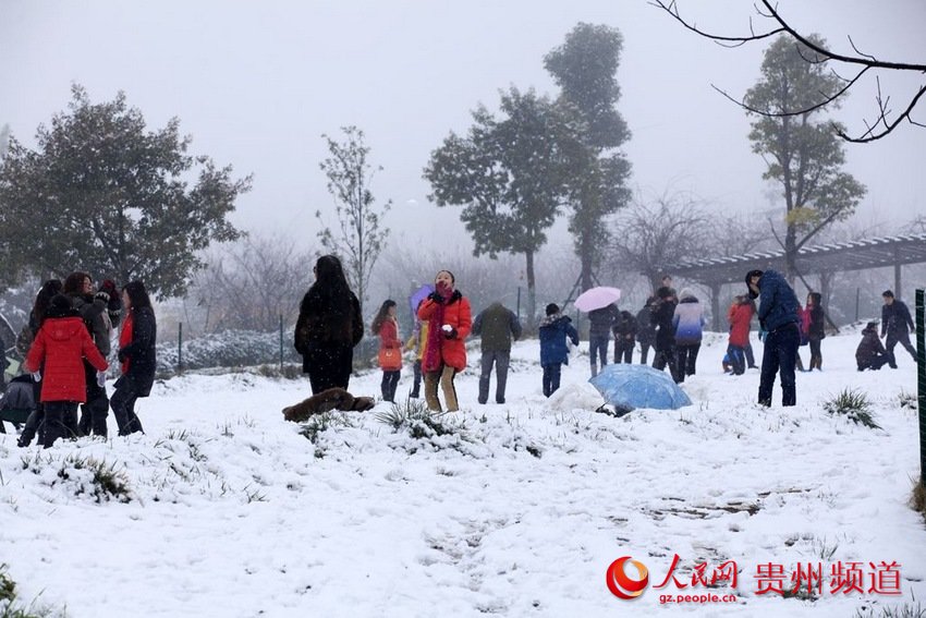 龙里龙架山国家森林公园迎来今冬最大一场雪(