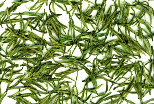 正安白茶之历史