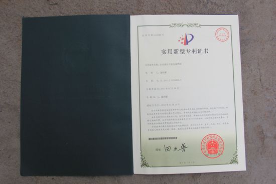 收入证明_没有销售收入的证明(2)