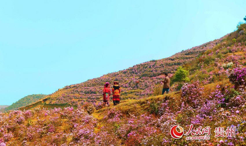 坡上草原是贵州省盘县境内的省级风景名胜区