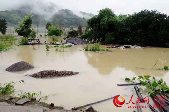 暴雨袭黔,贵州多地遭遇洪涝灾害