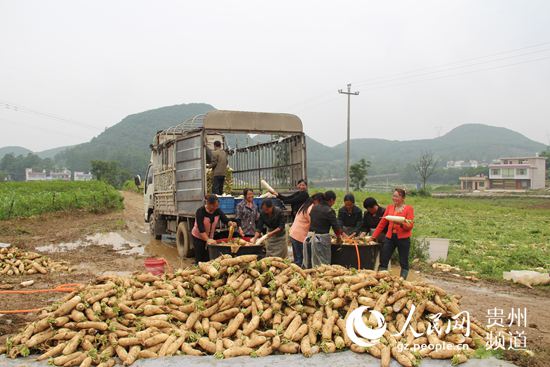 福泉牛场镇人口_福泉牛场镇石板寨