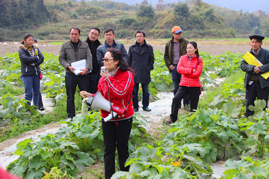 贵州省果蔬专家为望谟果蔬产业发展“把脉开方”