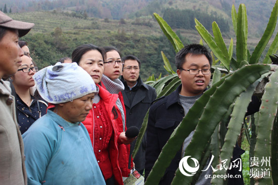贵州省果蔬专家到罗甸田间地头讲课