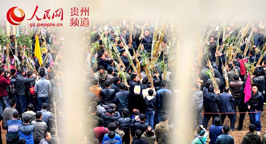 兩支隊伍在激烈比賽。
