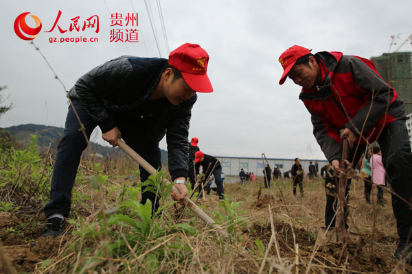 2月25日，在“绿色贵州”植树造林活动现场，几名志愿者在挖坑。杨希 摄