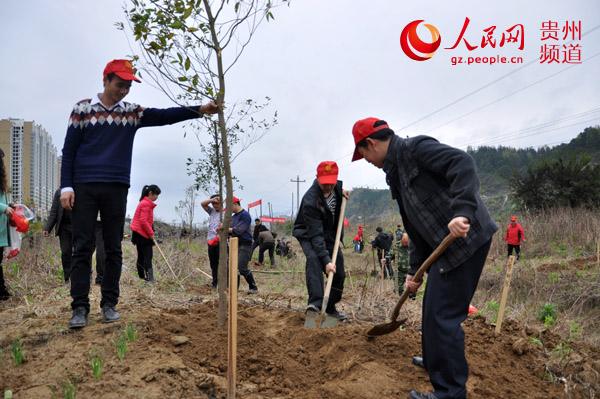 2月25日，榕江县志愿者参加“绿色贵州”植树造林活动现场。梁坤 摄