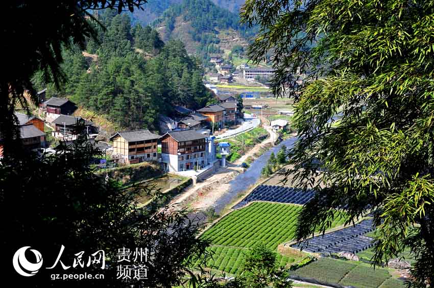 山清水秀莲花村。