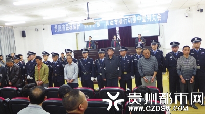 清镇市生态保护法庭集中公开宣判盗伐林木8人获刑