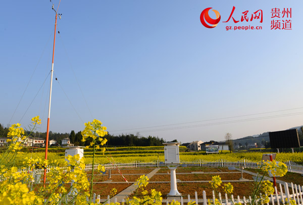 凤冈现代农业气象园区气象观测站建成投用