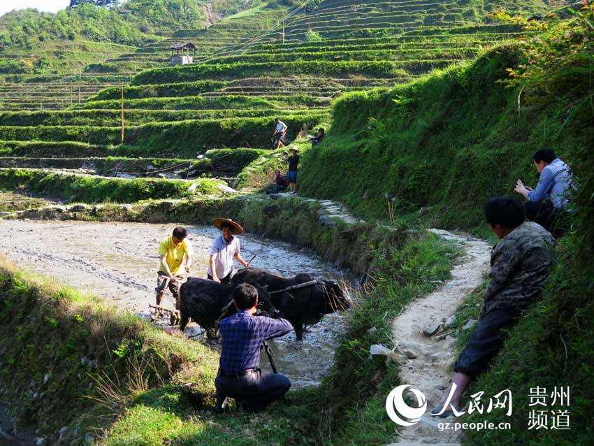 贵广高铁助推加榜旅游社会经济发展(高清组图