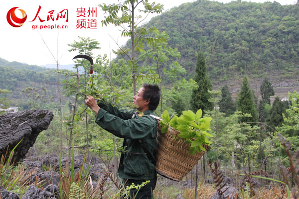 吕姓人口最多的村_走进特色文化村麻章区吕宅村 公园在村中,村在公园里(2)