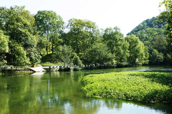 湿地公园夏日清凉