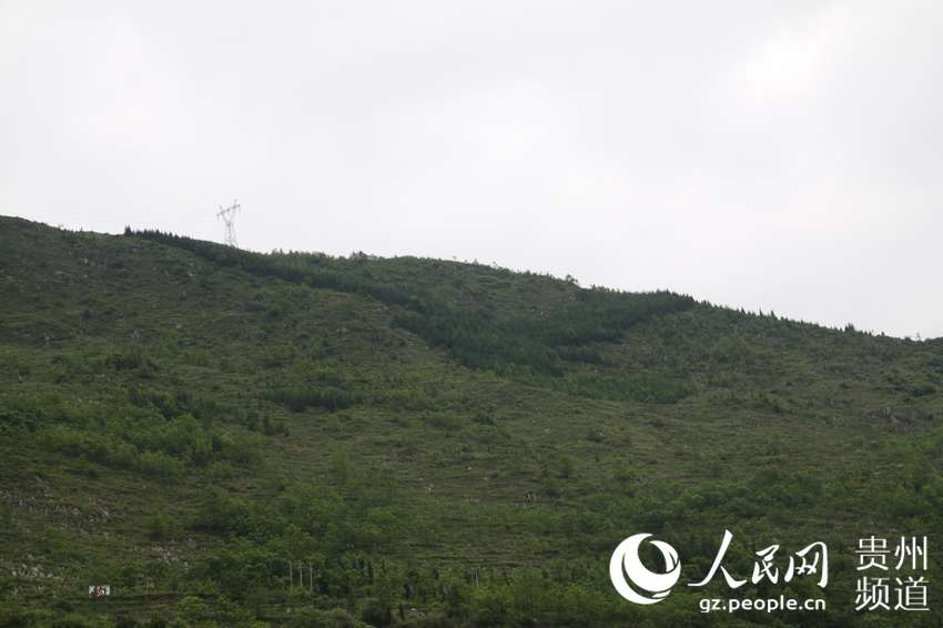 滴水岩村人口_滴水观音图片