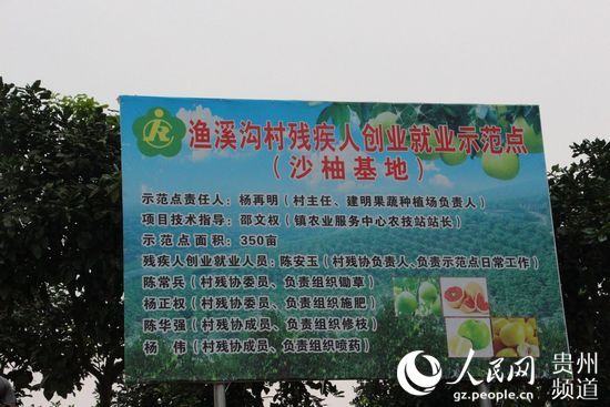 家庭月总收入_贵州 农民总收入(2)