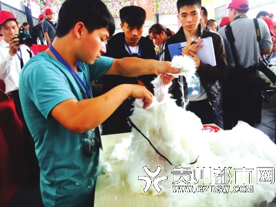 首届中国贵州·普安红·古茶文化节举行