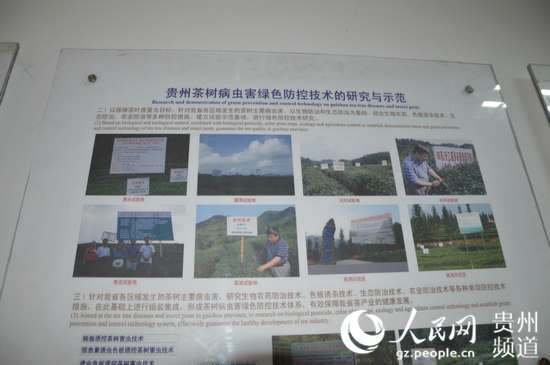 贵大宋宝安教授当选中国工程院农药学首位院士