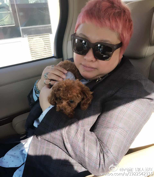 明星都爱粉红发色 鹿晗权志龙邓紫棋盘点明星