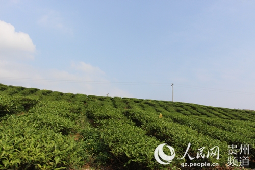 贵州思南经济总量_贵州思南图片(2)