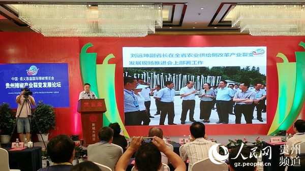 国内专家纵论贵州辣椒产业裂变发展