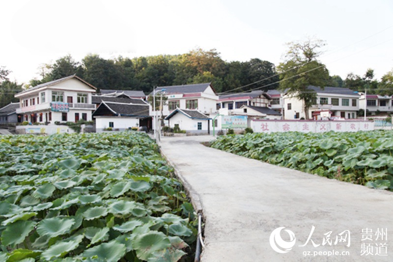 福安楼坪村人口资料_万塘大湾村