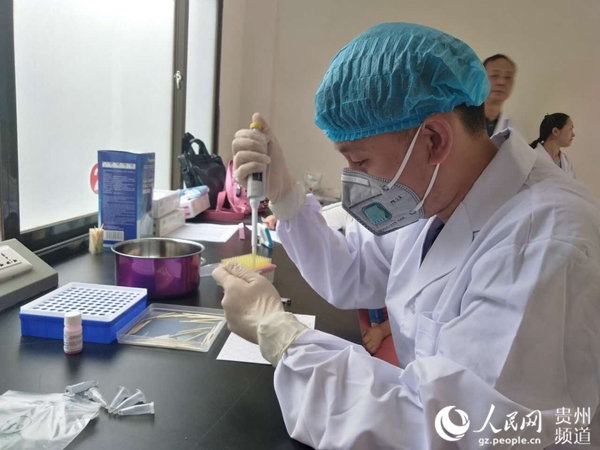 贵州举行首届兽医系统实验室技能竞赛