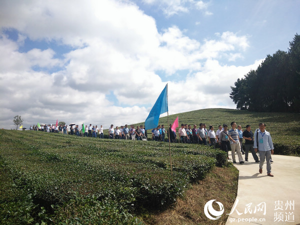 安顺居民人口_安顺职业技术学院