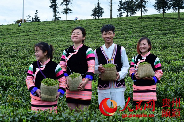 邮储银行实现净利润404.95亿元--贵州频道--人