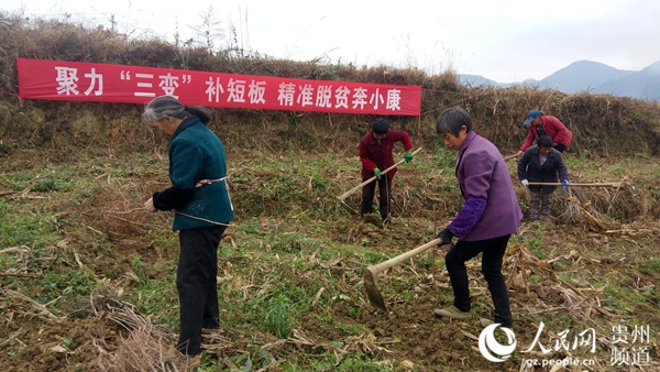 山村一亩三分地_二亩地收入(2)