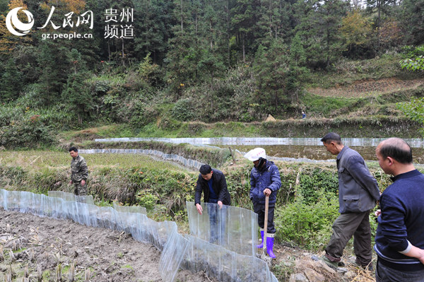 红光村小龙虾养殖项目助力精准扶贫