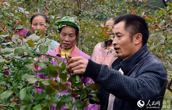 三农专家廖优江:蓝莓种植让荒山坡长出致富