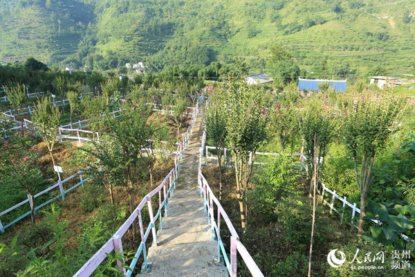 滴水岩村人口_滴水观音图片