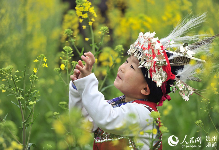 2018年2月16日农历大年初一，在贵州省从江县贯洞镇龙图侗寨，一个侗族小孩在油菜田里玩耍。（梁光源 摄）