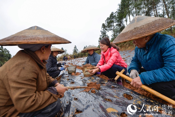 松桃人口多少人_昨晚被刷屏了 几千人涌入松桃这个地方,场面火爆又震撼(3)