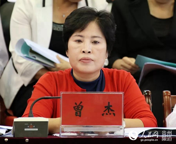 铜仁市政府副市长,市驻印江脱贫攻坚督导组组长胡洪成,印江县委书记田