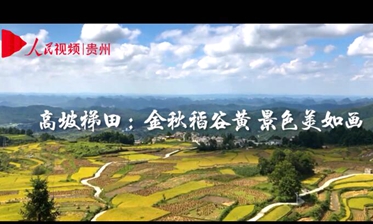 【视频】航拍高坡梯田：金秋稻谷黄 景色美如画