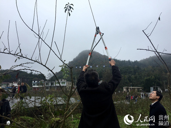 ææ°æ­£å¨ç»èçº¢ææ ä¿®æãæå® æ