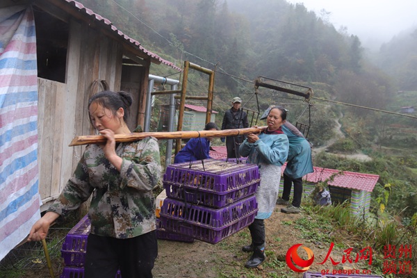 丹寨有多少人口_单日客流破12万人次 丹寨到底有多神奇 来一次你将拥有7次旅(2)