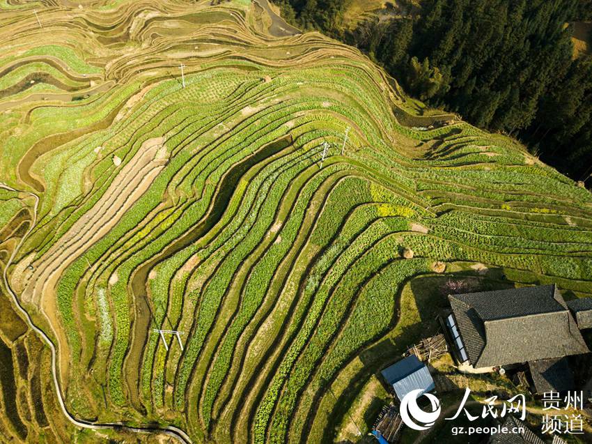 2019年3月22日，在贵州省黔东南苗族侗族自治州从江县拍摄的加榜梯田景色（无人机拍摄）。（吴德军摄） 
