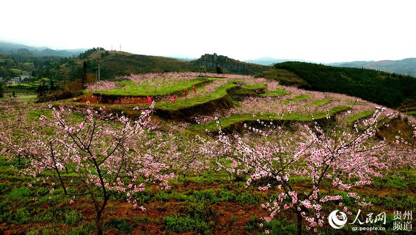 天柱县城人口_天柱县城全景(2)