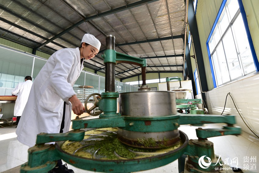 贵州苗族侗族自治州经济总量_贵州苗族自治州图片