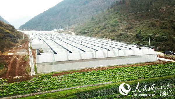 高峰村人口_兴业县高峰镇永德村
