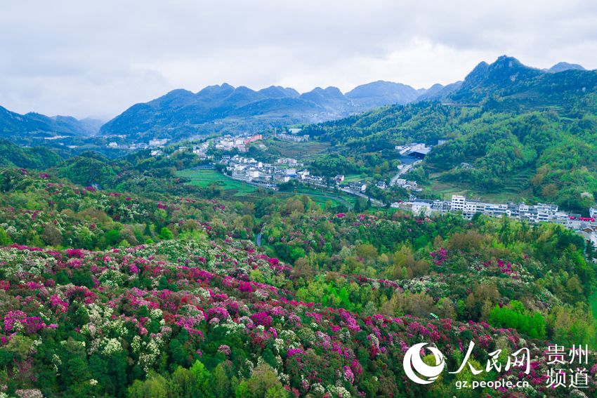 毕节市人口网_图说中国 国内新闻(3)