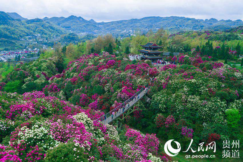 毕节市人口网_图说中国 国内新闻(3)