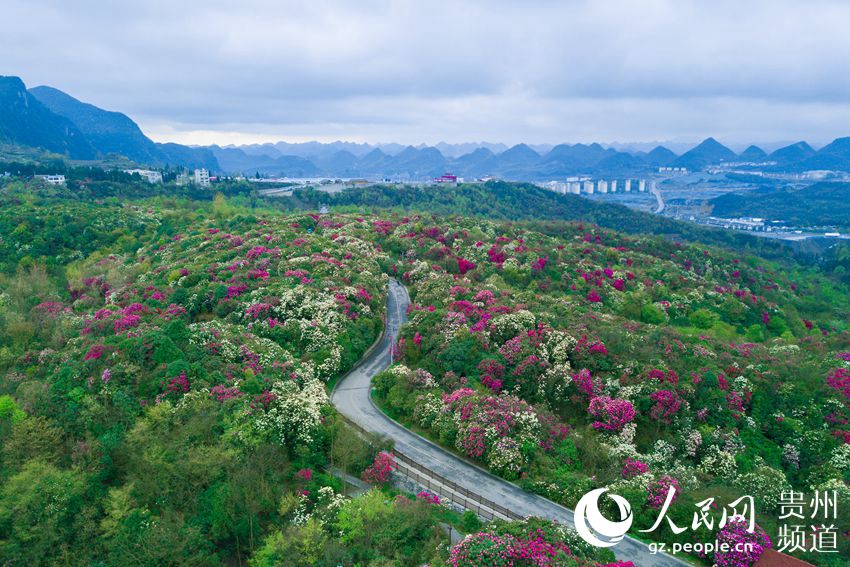 毕节市人口网_图说中国 国内新闻(2)