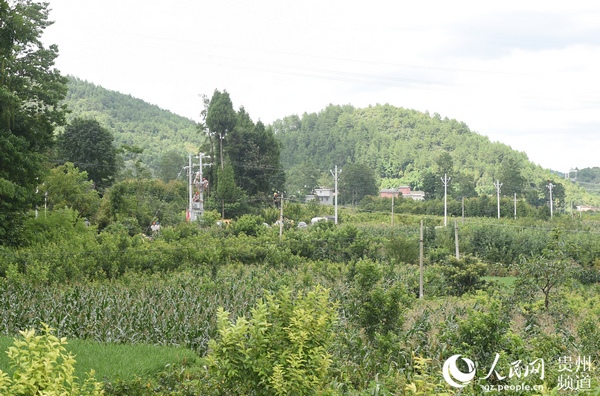 722գԱڹڵ°ȸ尲װѹ¾ 㣩